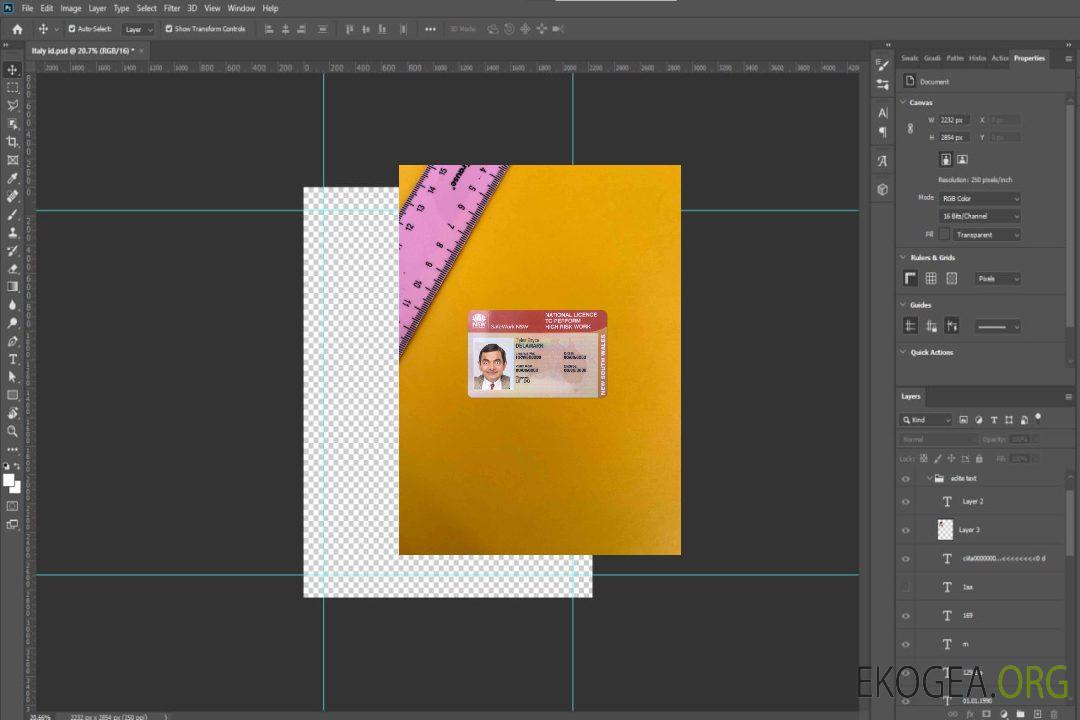 Australie Nouvelle-Galles du Sud licence nationale photolook FRONT template